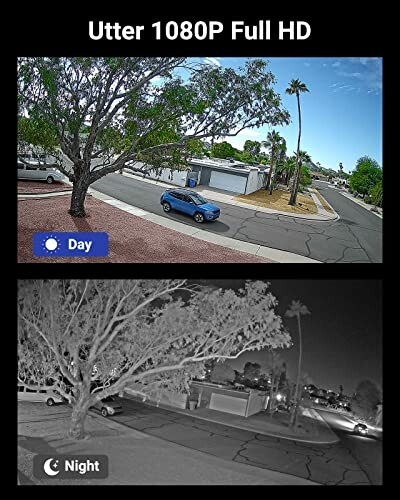 Day and night view from a security camera showing a street with trees and a car.